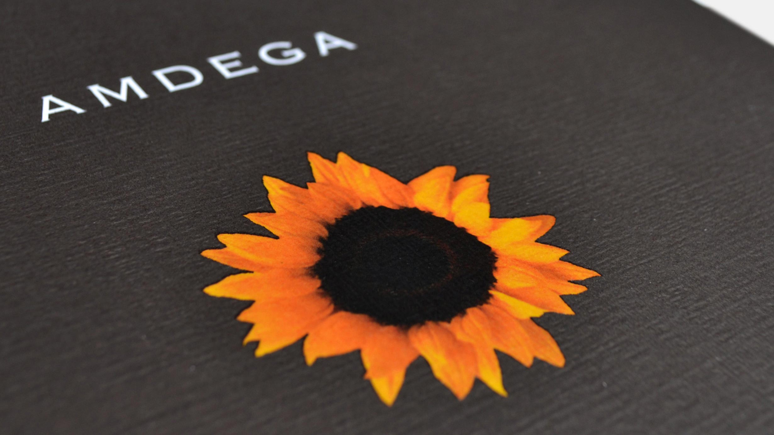 amdega brochure cover