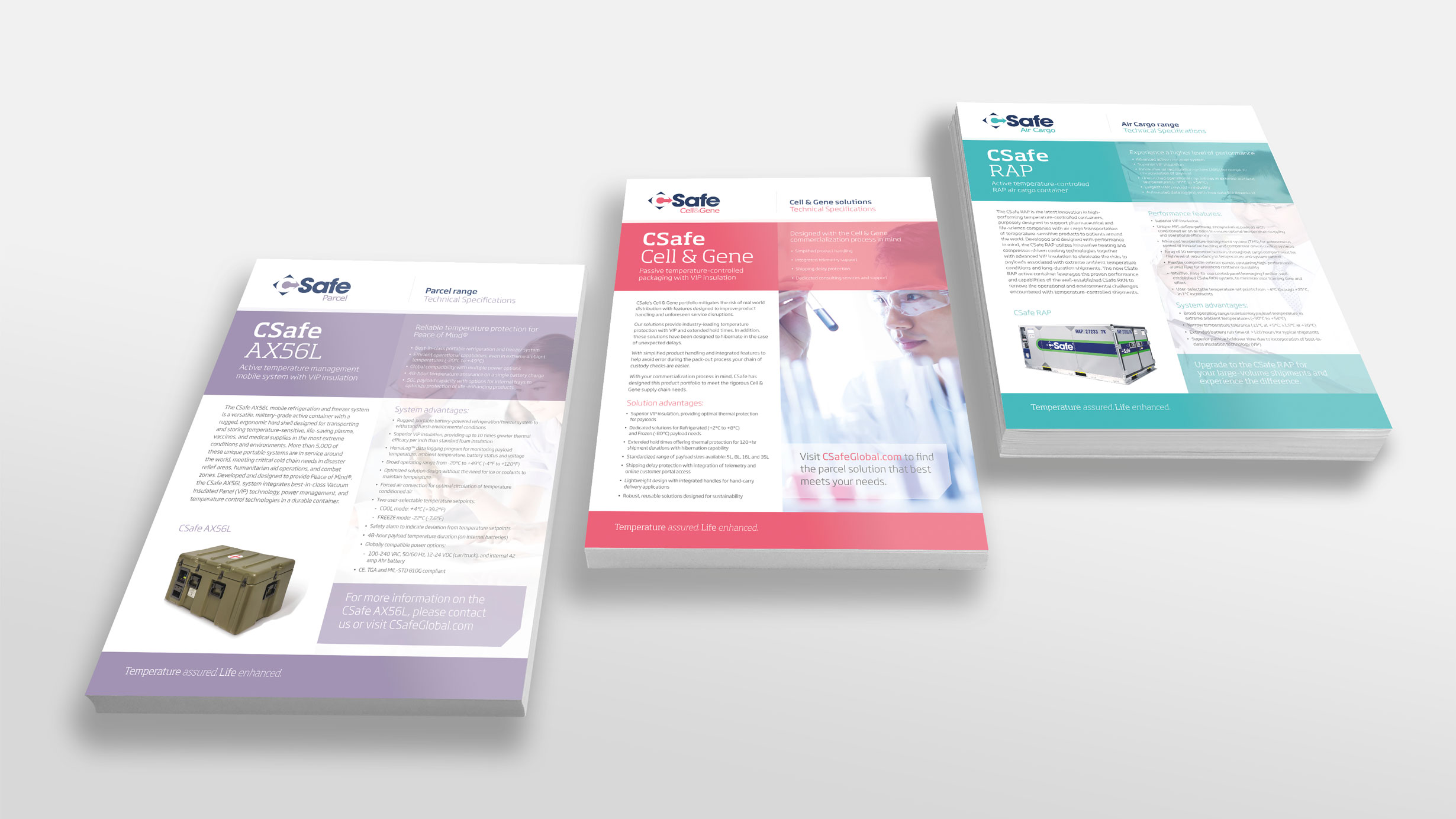 csafe factsheets