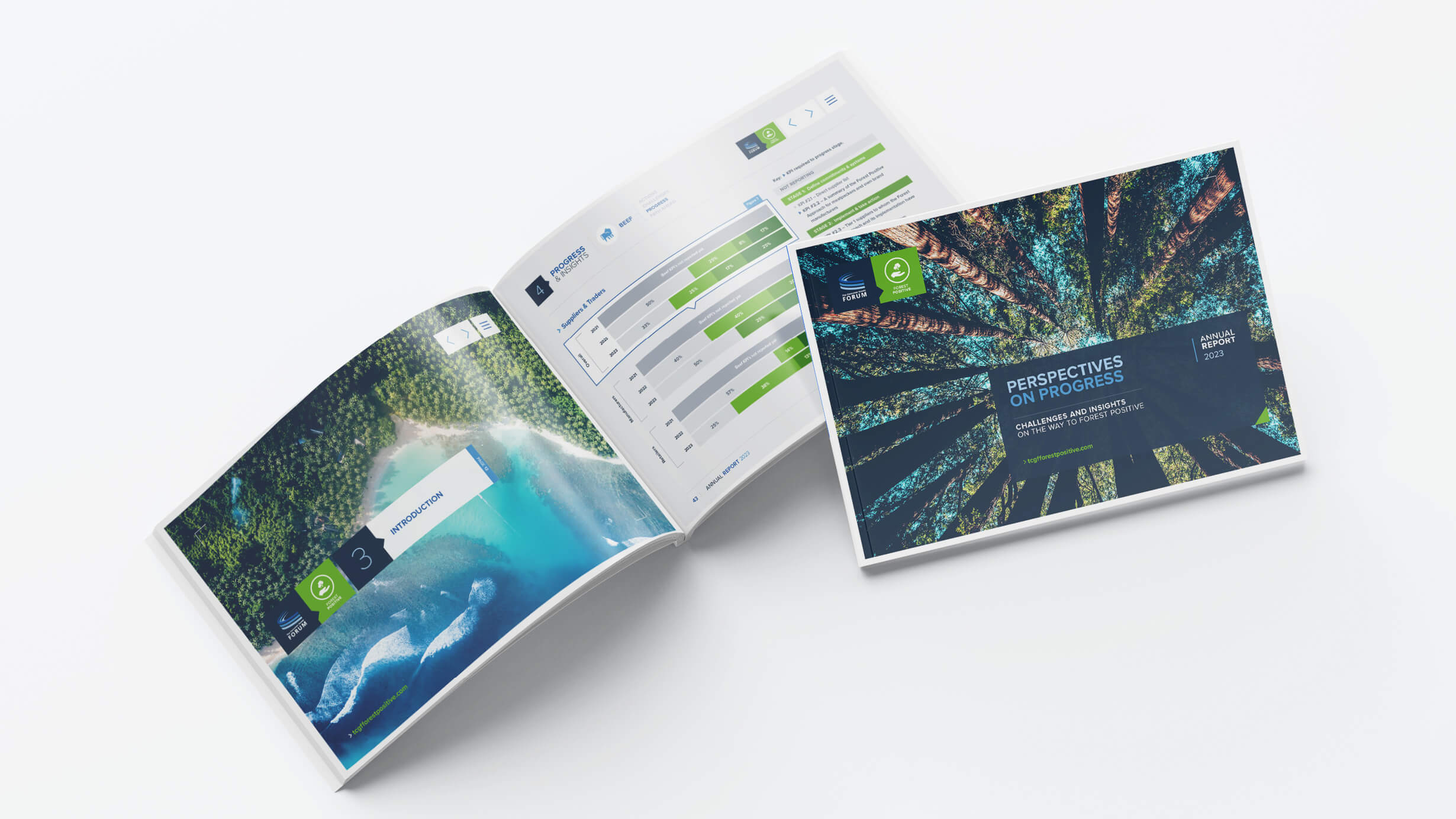 Forest Positive Annual Report